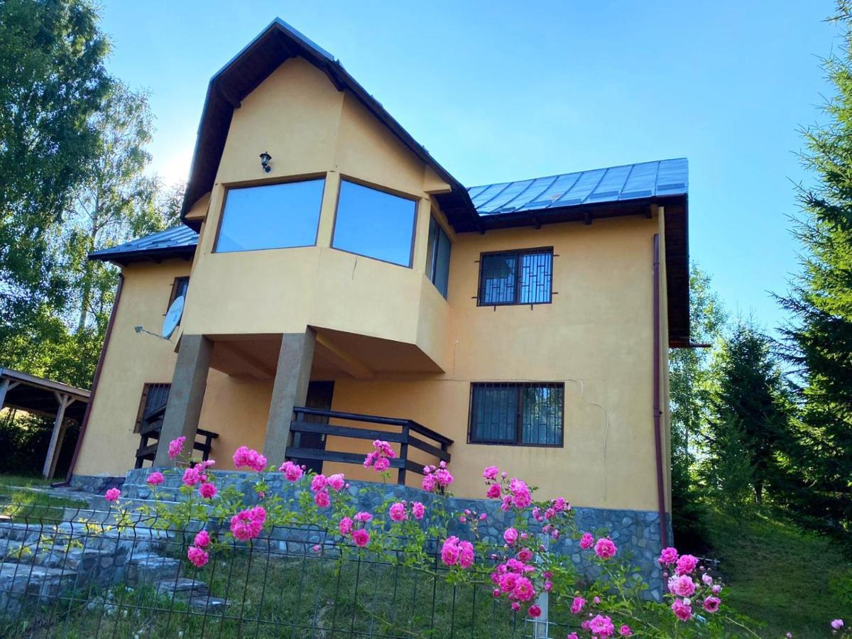 Вілла Casa Ionel Si Dani Фундата Екстер'єр фото