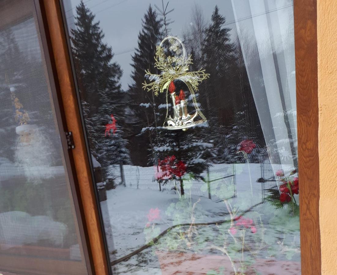 Вілла Casa Ionel Si Dani Фундата Екстер'єр фото